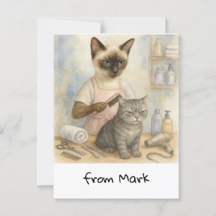 Kattenkapper  briefkaart
