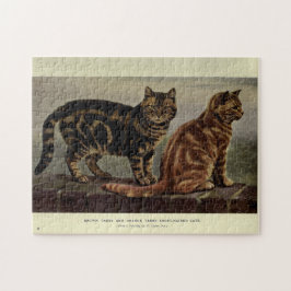 kattenkat Bruin Oranje tablet Kortademig Legpuzzel