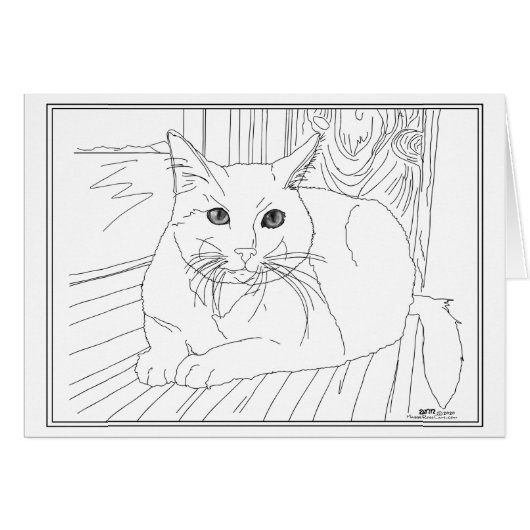 Kattenkat in Venster (Voorkant Horizontaal)