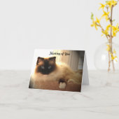 Kattenkatten Ragdoll Ragpopes Kat Notecard Kaart (Gele Bloem)