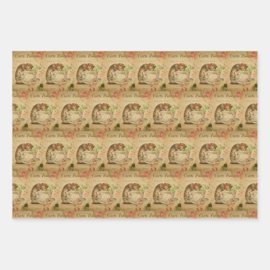  kattenkattenhuisje, stijlvolle kattenretro inpakpapier vel (Voorkant 2)