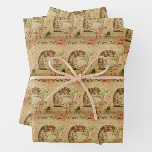 kattenkattenhuisje, stijlvolle kattenretro inpakpapier vel (In situ)