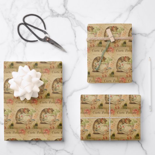  kattenkattenhuisje, stijlvolle kattenretro inpakpapier vel (Voorkant)