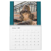 Kattenkattenkalender Kalender (Jan 2027)