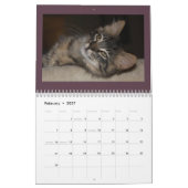 Kattenkattenkalender Kalender (Feb 2027)
