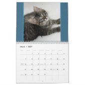 Kattenkattenkalender Kalender (Mar 2027)