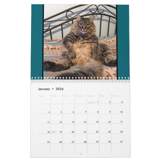 Kattenkattenkalender Kalender (Jan 2026)