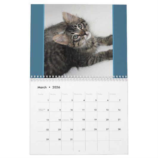 Kattenkattenkalender Kalender (Mar 2026)
