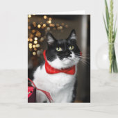 Kattenkerst Kaart - Meowy Christmas (Voorkant)