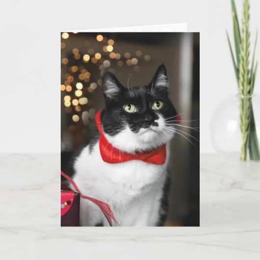 Kattenkerst Kaart - Meowy Christmas (Voorkant)
