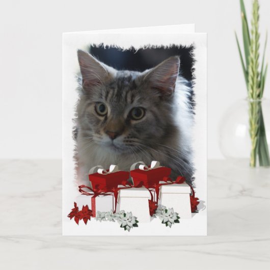 Kattenkerst Kaart met Maine Coon Kitten (Voorkant)
