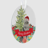 KattenKerst Maine Coon Kat Ornament (voorkant)