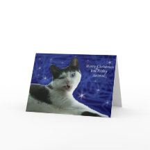 Kattenkerst smerig dier