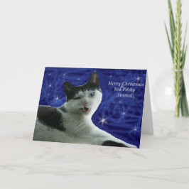 Kattenkerst smerig dier feestdagen kaart