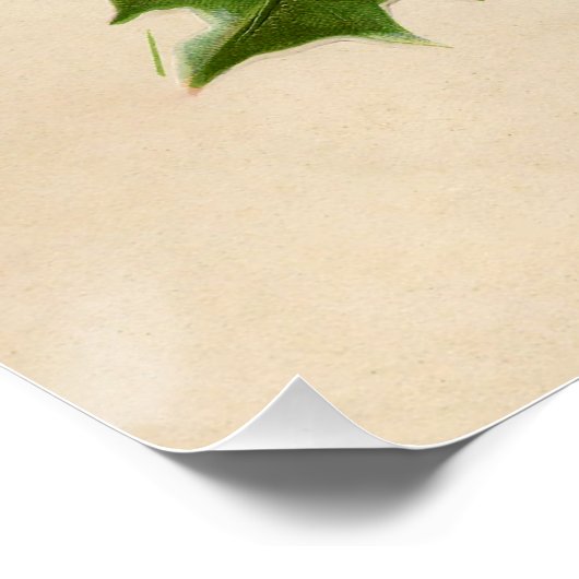 Kattenkerst Vrolijk Holly Kitten Antiek Kunst Perfect Poster (Hoek)