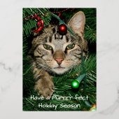 Kattenkerstboom Perfect Holiday Christmas Kaart (Voorkant)