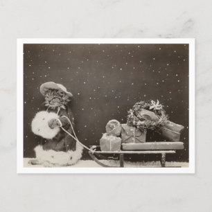 Kattenkerstinkopen  zwart-wit briefkaart