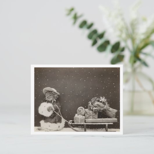 Kattenkerstinkopen  zwart-wit briefkaart (Staand voorkant)