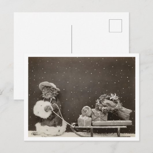 Kattenkerstinkopen  zwart-wit briefkaart (Voorkant / Achterkant)