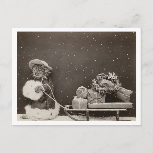 Kattenkerstinkopen  zwart-wit briefkaart (Voorkant)