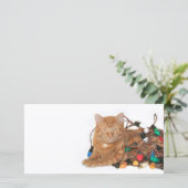 Kattenkerstlichtverwarring Feestdagenkaart (Staand voorkant)