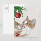 Kattenkerstpret Feestdagenkaart (Voorkant / Achterkant)