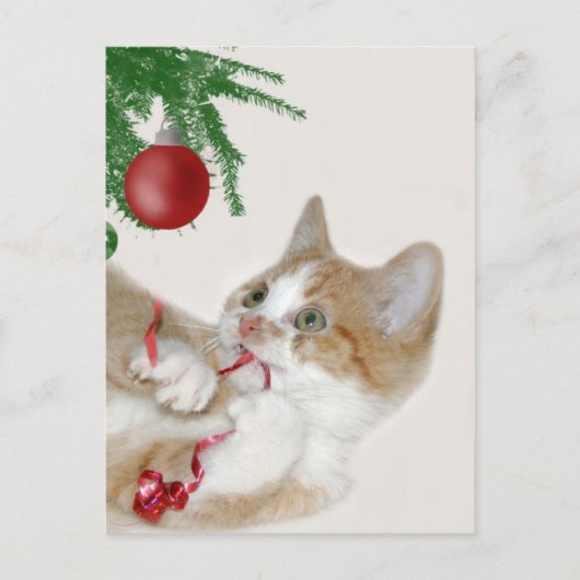 Kattenkerstpret Feestdagenkaart (Voorkant)