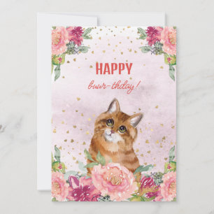 Kattenkitten Gelukkige Verjaardag Grappige Moederd Feestdagenkaart