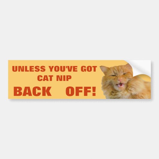 Kattenknijp behandelingen of achteruit grumpy kit bumpersticker (Voorkant)