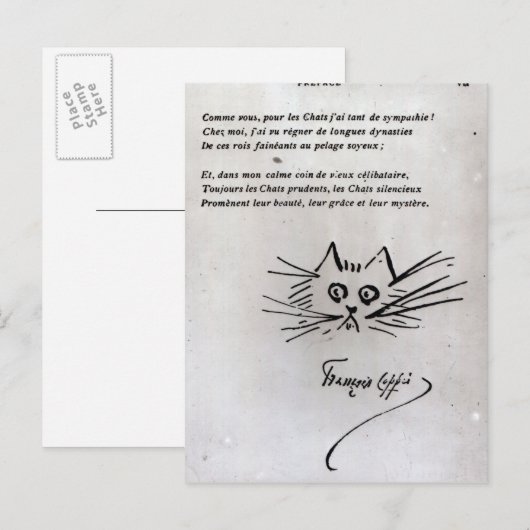 Kattenkop Briefkaart (Voorkant / Achterkant)