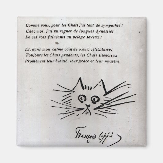 Kattenkop Magneet (Voorkant)