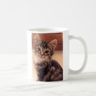 Kattenkop Mok Kop Kat liefde