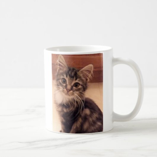Kattenkop Mok Kop Kat liefde (Rechts)