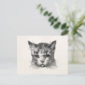  kattenkopkat Kitten Kittens Animal Retro Briefkaart (Staand voorkant)