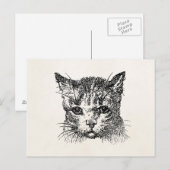  kattenkopkat Kitten Kittens Animal Retro Briefkaart (Voorkant / Achterkant)
