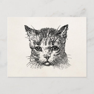  kattenkopkat Kitten Kittens Animal Retro Briefkaart