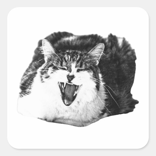 Kattenkreet, afpelkunst vierkante sticker (Voorkant)