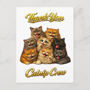 Kattenkruid Crew Lieve Grappige Domme Kattengezich Briefkaart