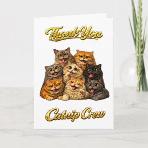 Kattenkruid Crew Lieve Grappige Domme Kattengezich Kaart