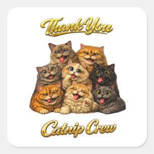 Kattenkruid Crew Lieve Grappige Domme Kattengezich Vierkante Sticker