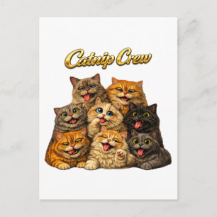 Kattenkruid Crew Lieve Grappige Sufkatten Gezichte Briefkaart