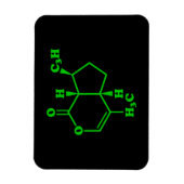 Kattenkruid Nepetalacton Moleculaire Chemische For Magneet (Verticaal)