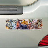 Kattenkunstpatroon Bumpersticker (Op auto)