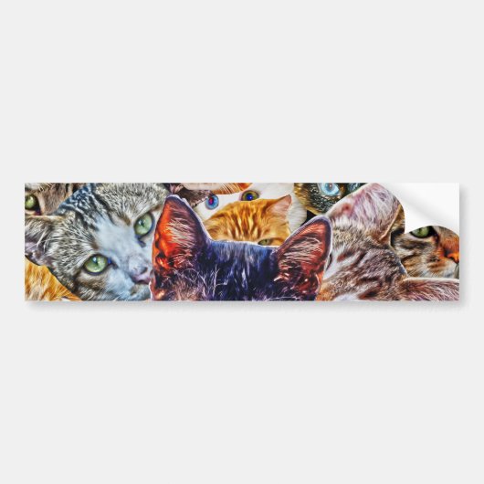 Kattenkunstpatroon Bumpersticker (Voorkant)