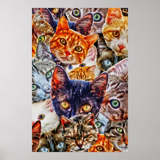 Kattenkunstpatroon Poster (Voorkant)
