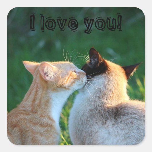 Kattenkus kattenliefhebbers vierkante sticker (Voorkant)