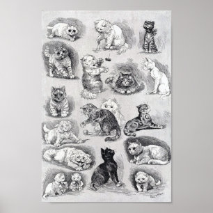 Kattenleven op de kattententoonstelling, Louis Wai Poster