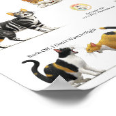 Kattenlichaamstaal Poster (Hoek)