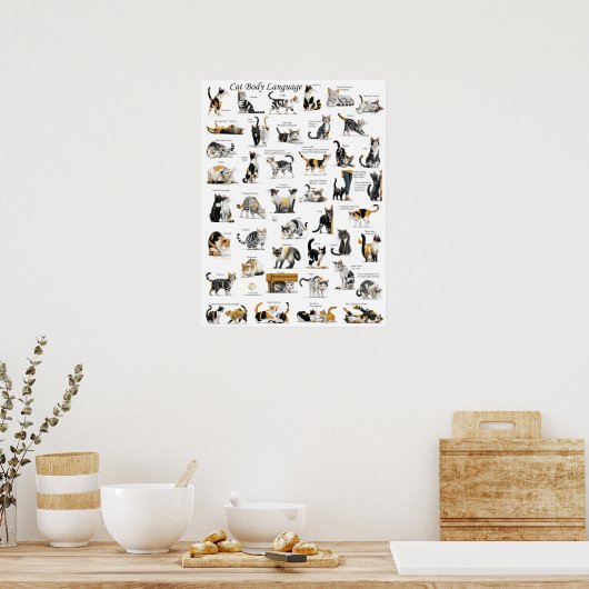 Kattenlichaamstaal Poster (Keuken)