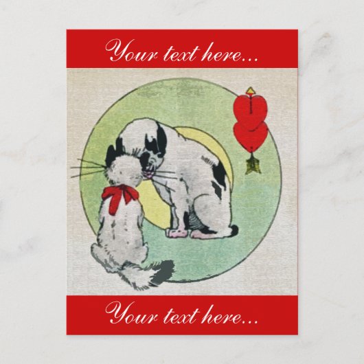  kattenliefde briefkaart (Voorkant)